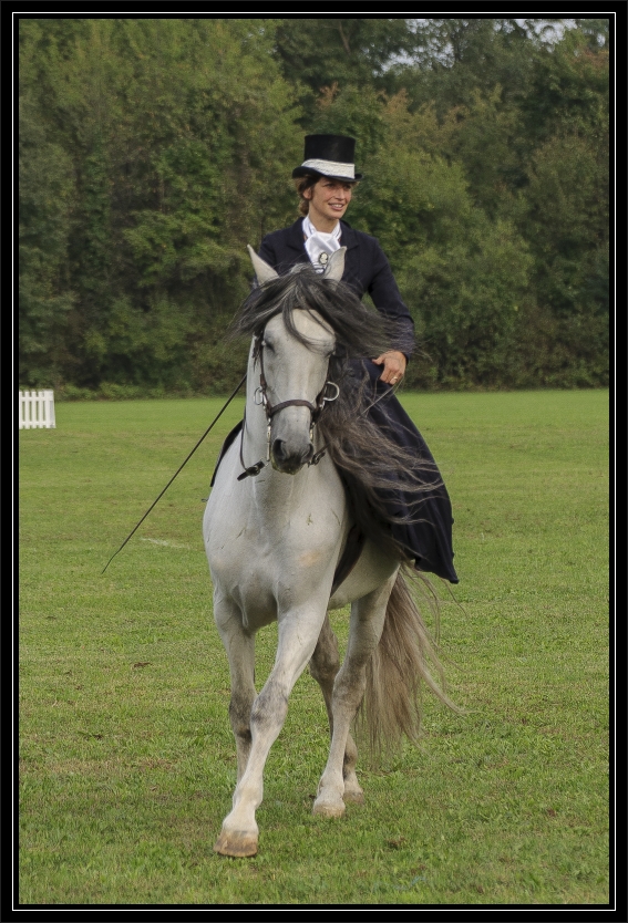 Monza Polo Club 2015