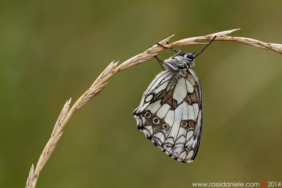 Una notte sotto l'arco...