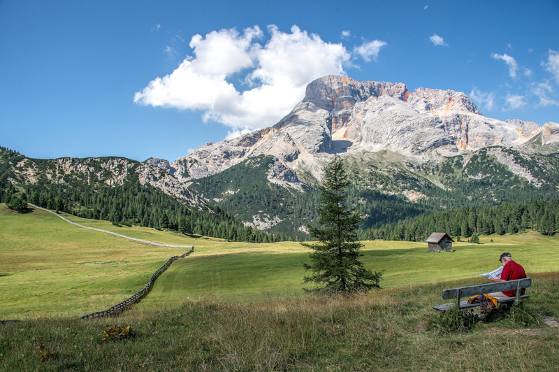 Dove leggere il giornale