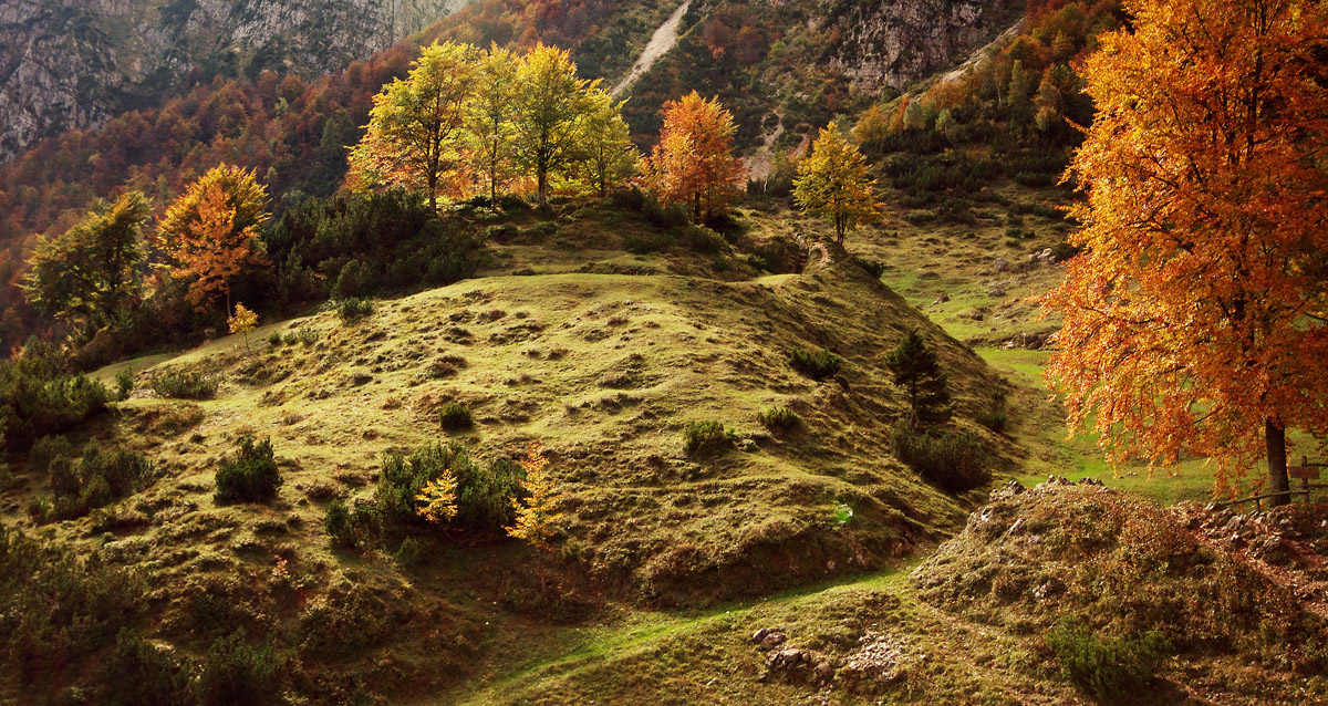 E' tornato l'autunno