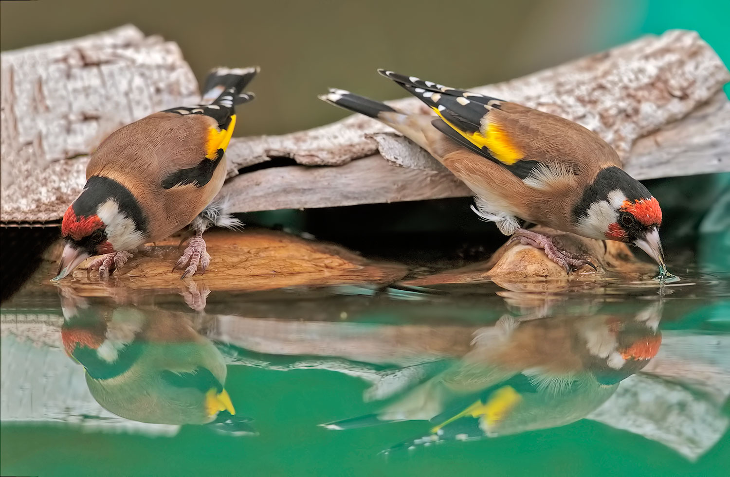sincronismo..perfetto