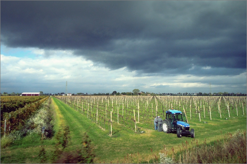 Fugaci visioni Img. 645