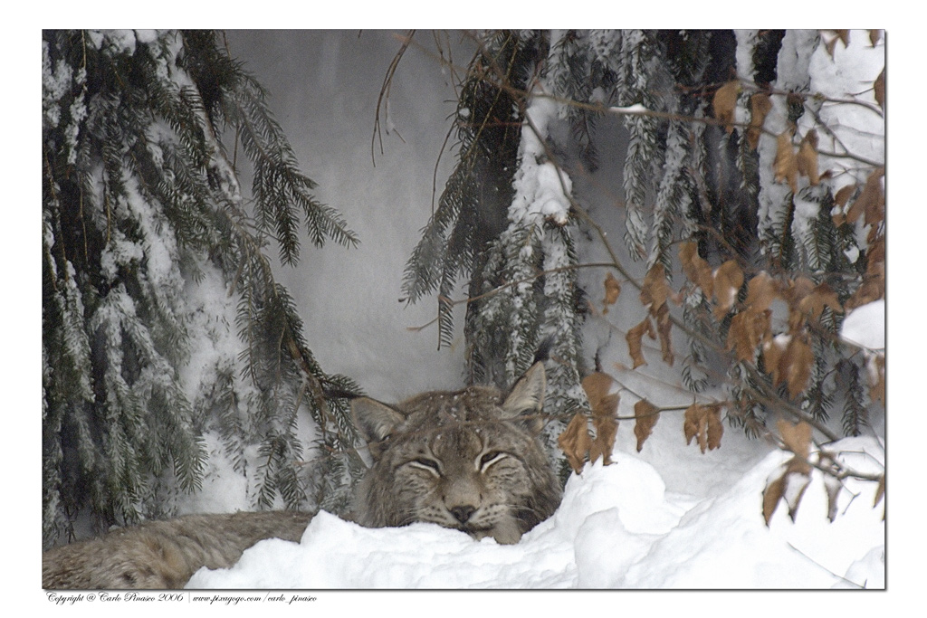 Esperimento impossibile