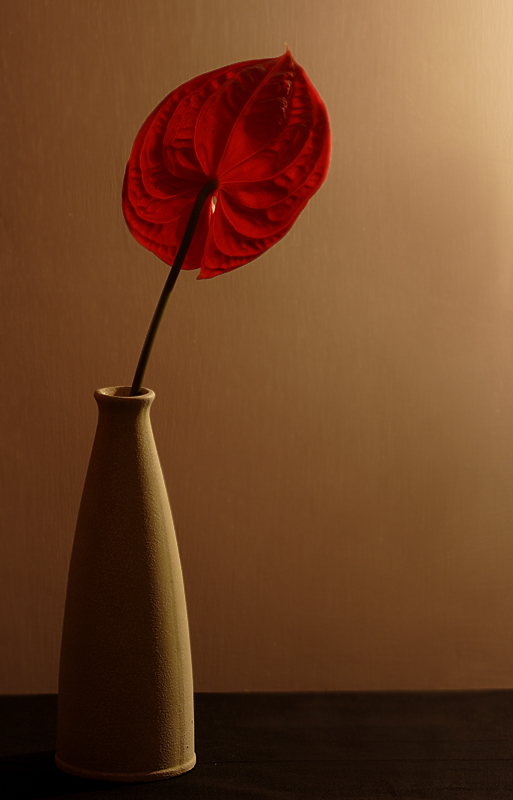 Red light and shadows