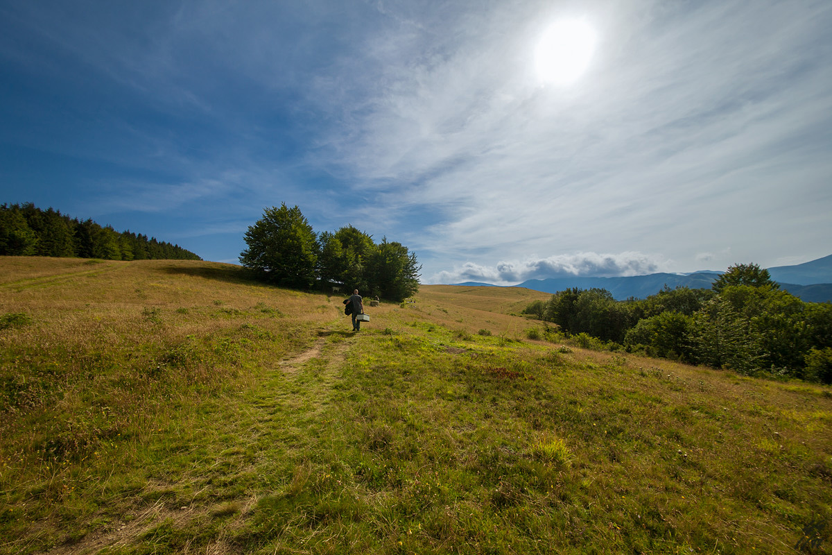 ..through the valley..