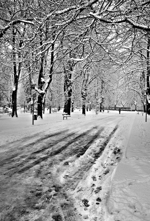 WINTER