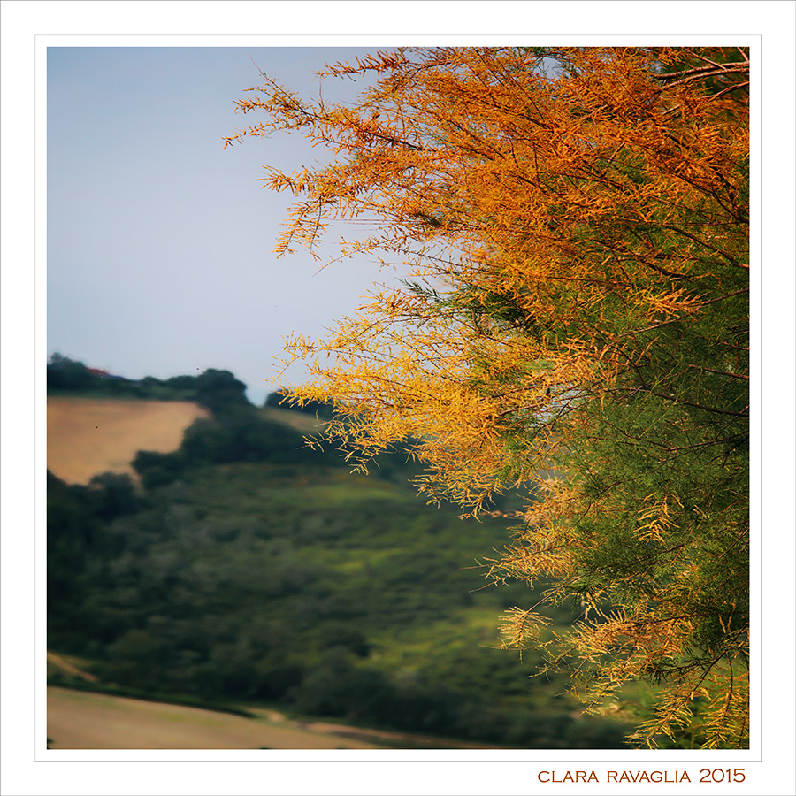 Gentilezze di sole...