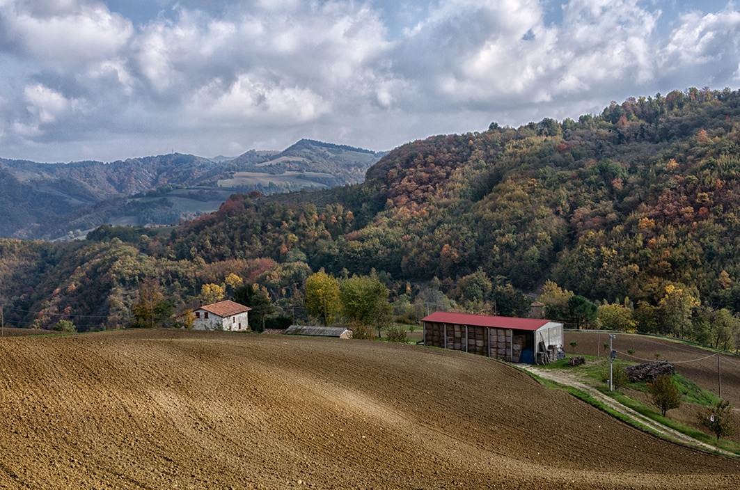 Colline romagnole