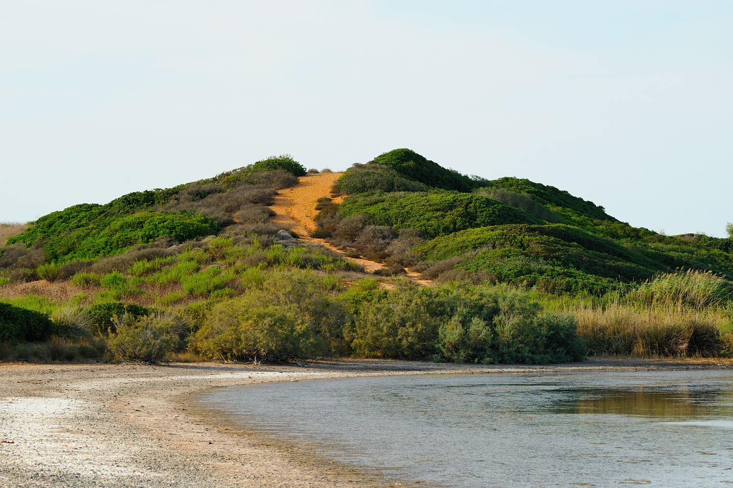 Stagno di Pilo Stintino (SS)