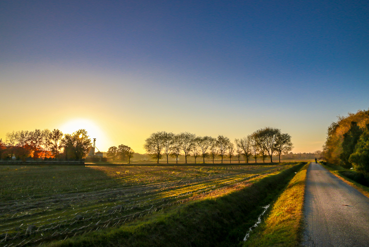 paesaggio vigevanese