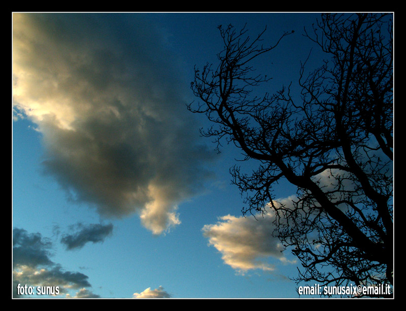 il cielo di Montalto