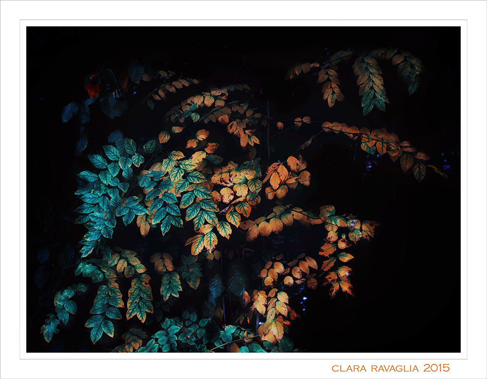 Se l'autunno dipinge...