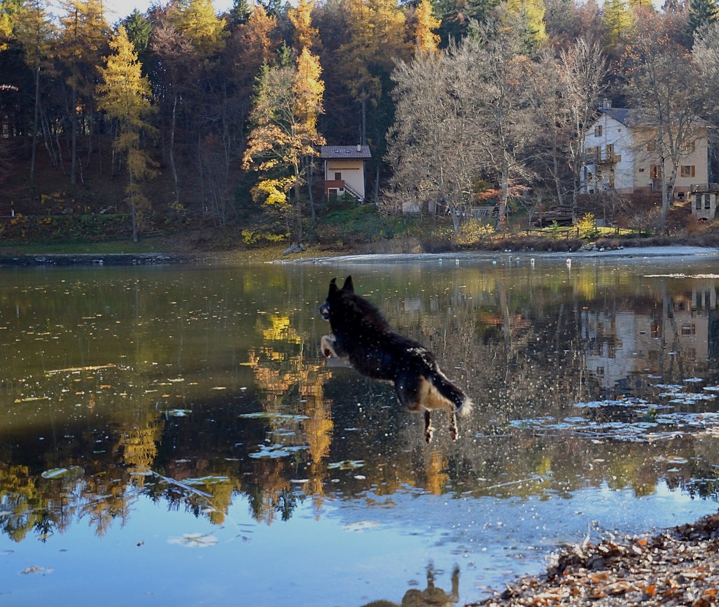 Un tuffo nell'autunno