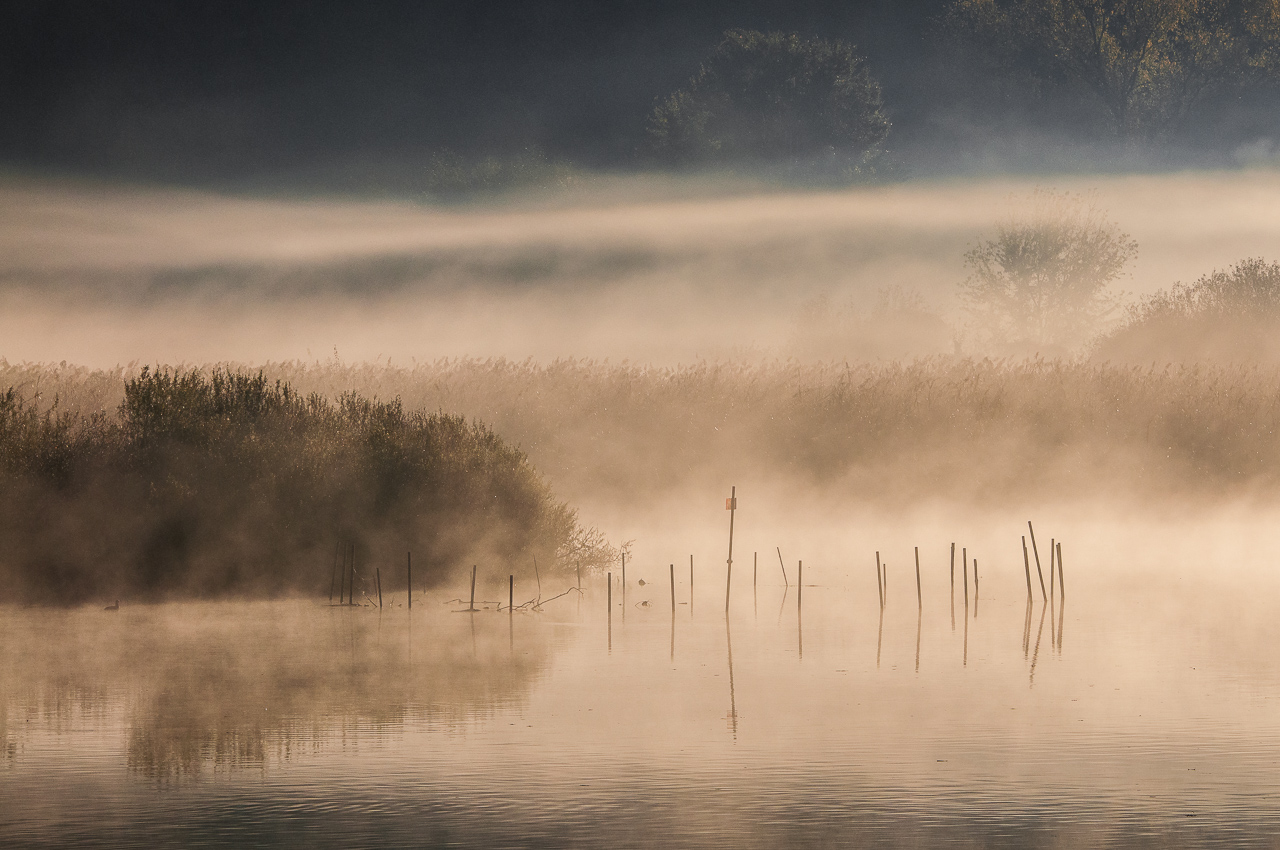 Il mistero del fiume