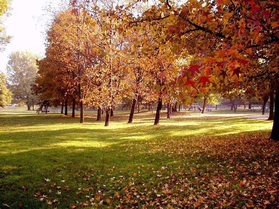 autunno in citt�