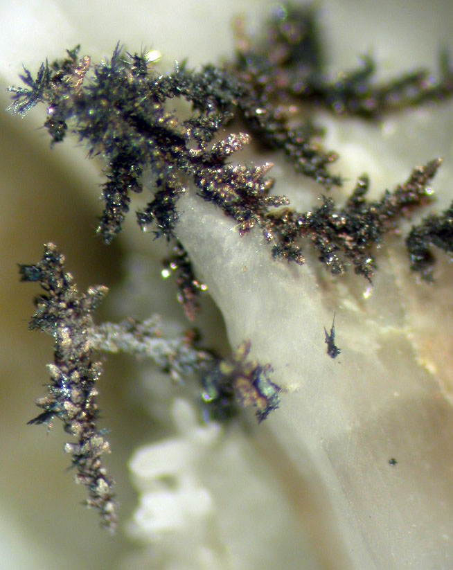 anche questo � argento