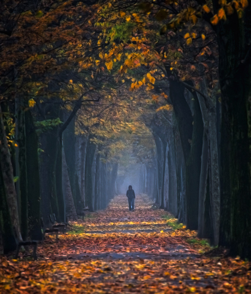 solitudine autunnale