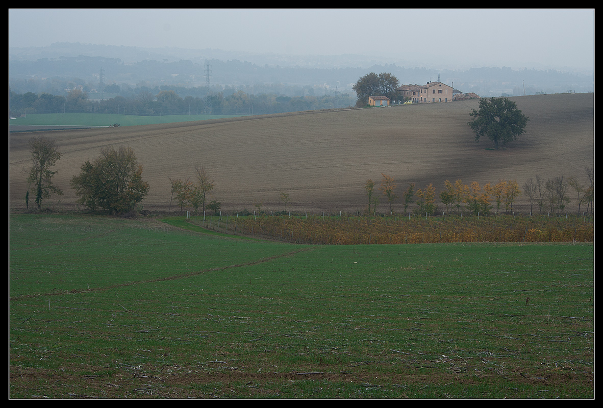 campagna della vallesina 2