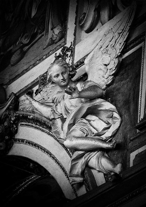 "E basta con queste foto..su..!"