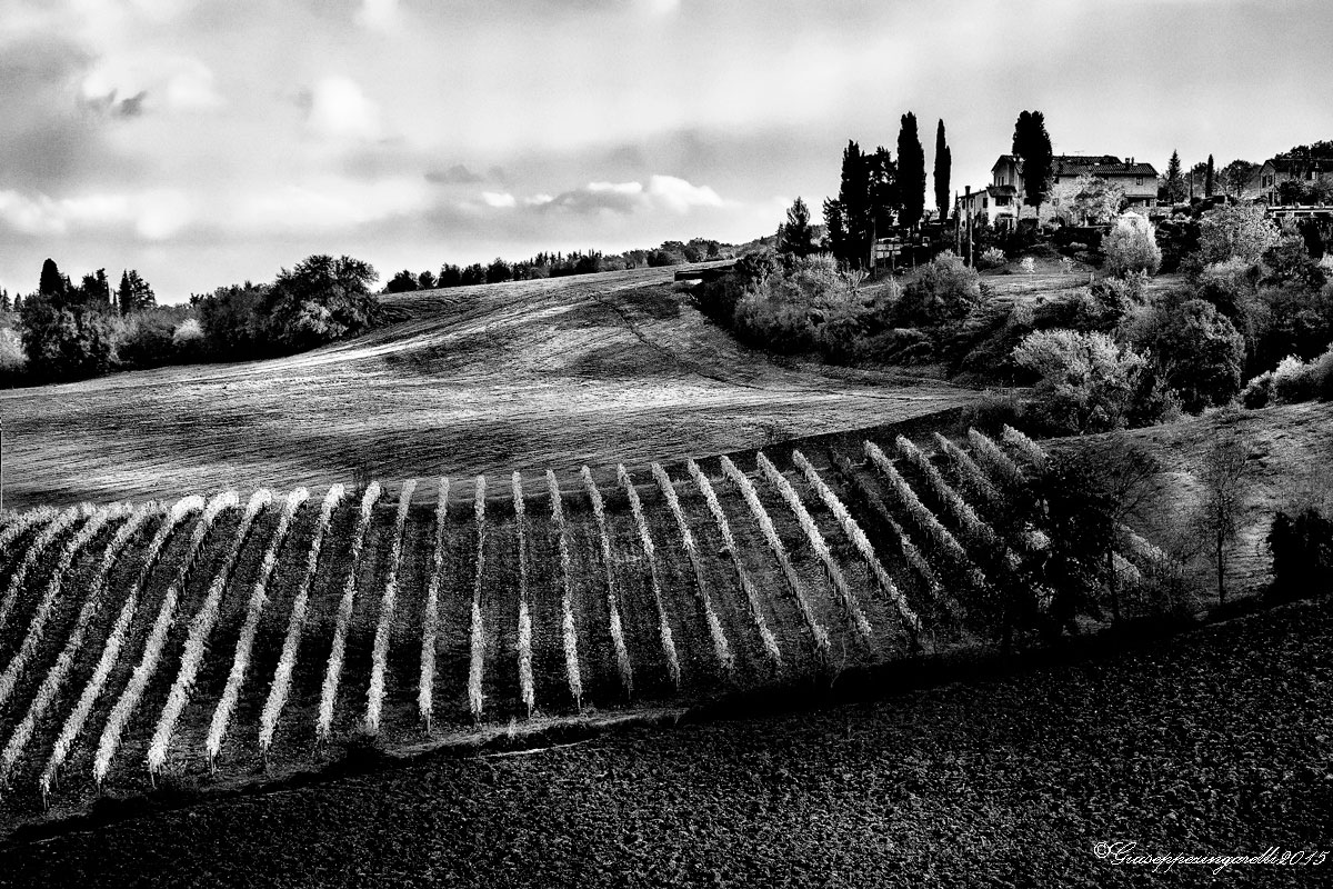Toscana in b/n