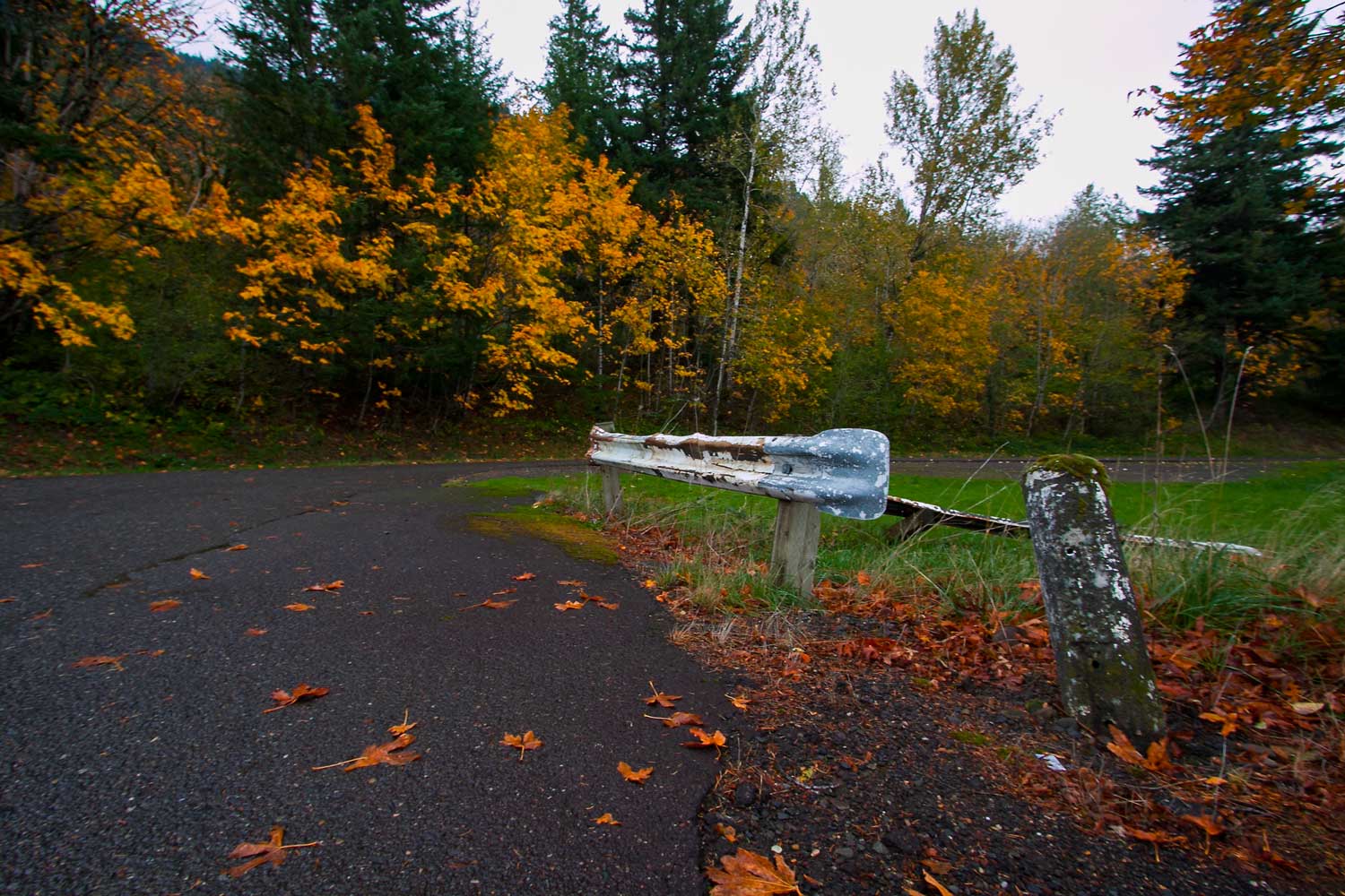 Nice place close to Oregon Park