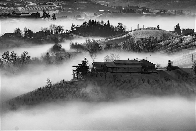 nebbia nelle langhe