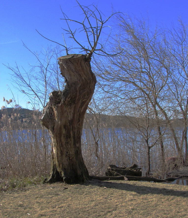 preghiera in riva al lago