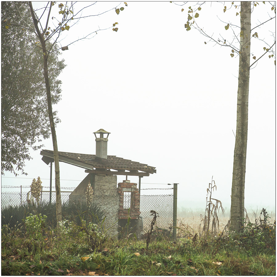 The house of the doves