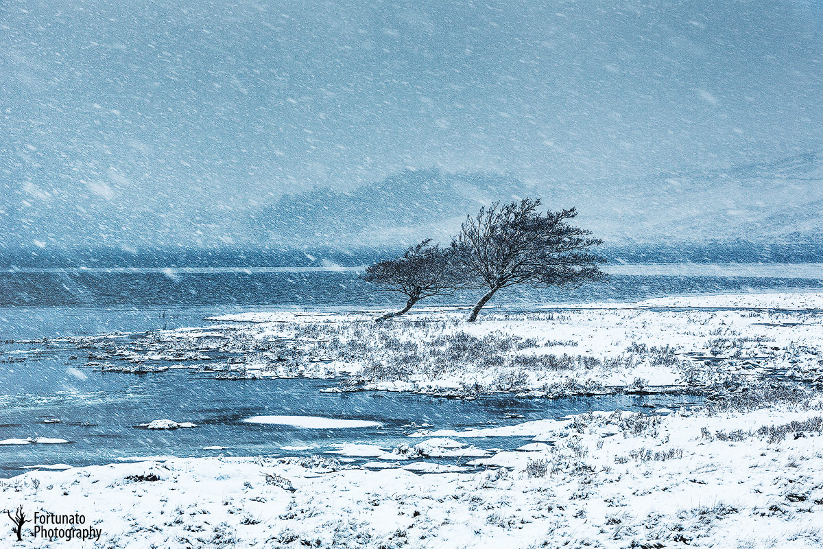 Insieme nella tempesta