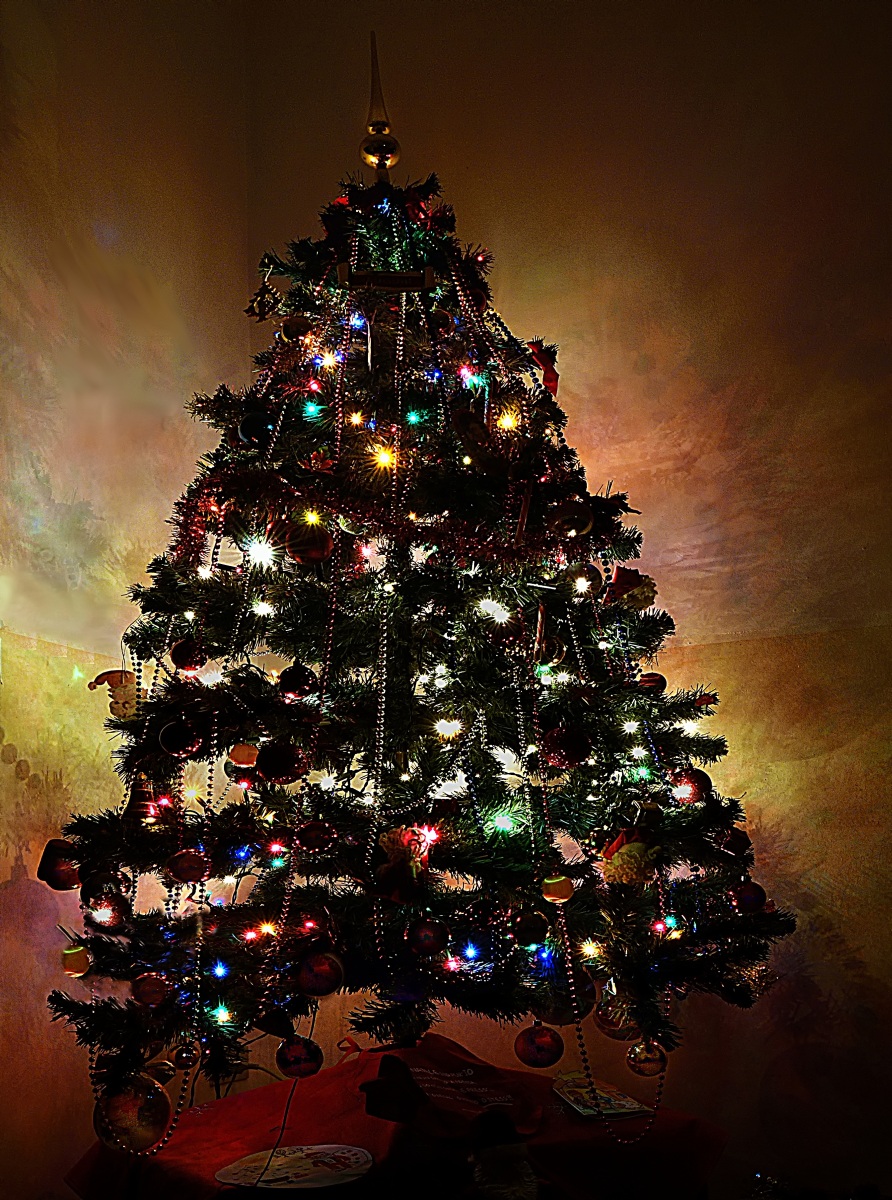 il mio albero di Natale