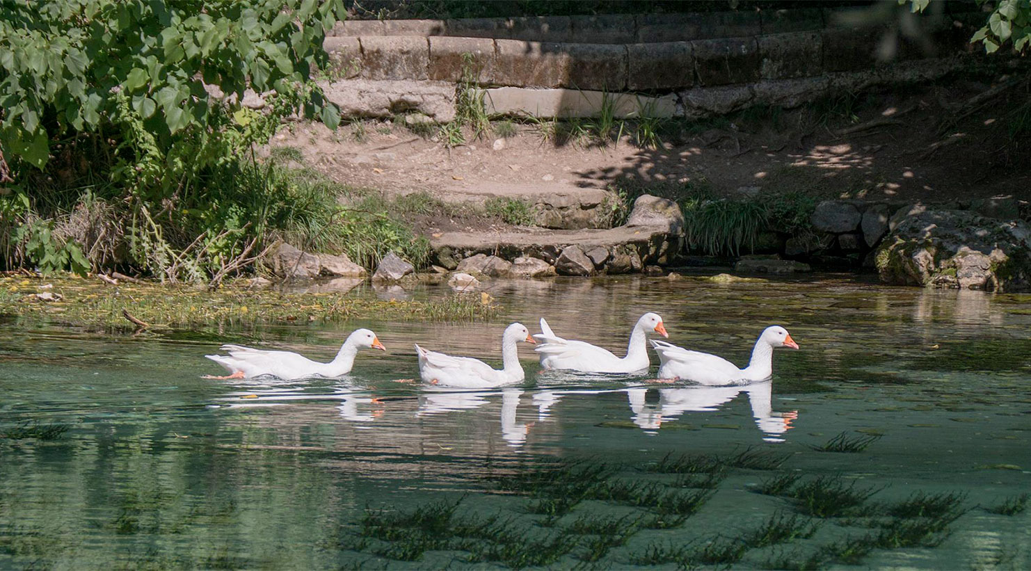 Parco del grassano (Benevento)