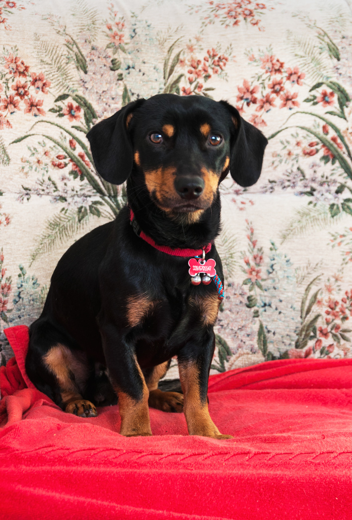 E allora??? Me la fai questa foto ??