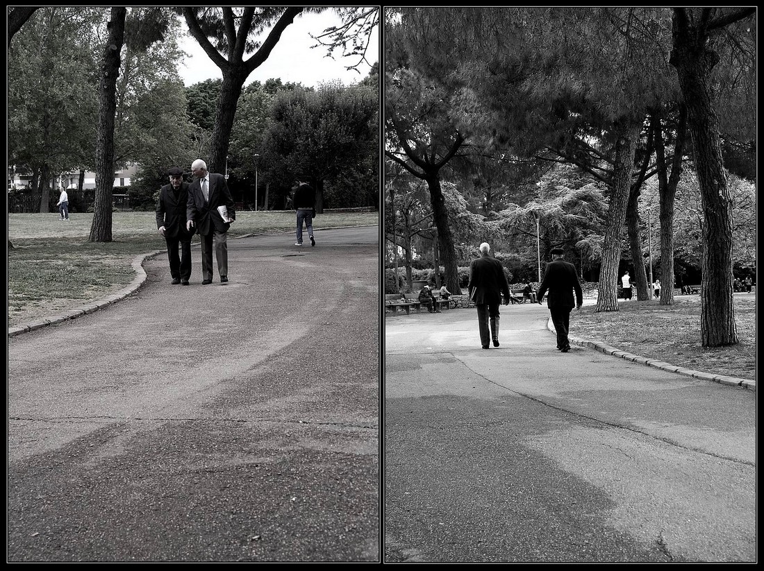 Vecchi amici al parco