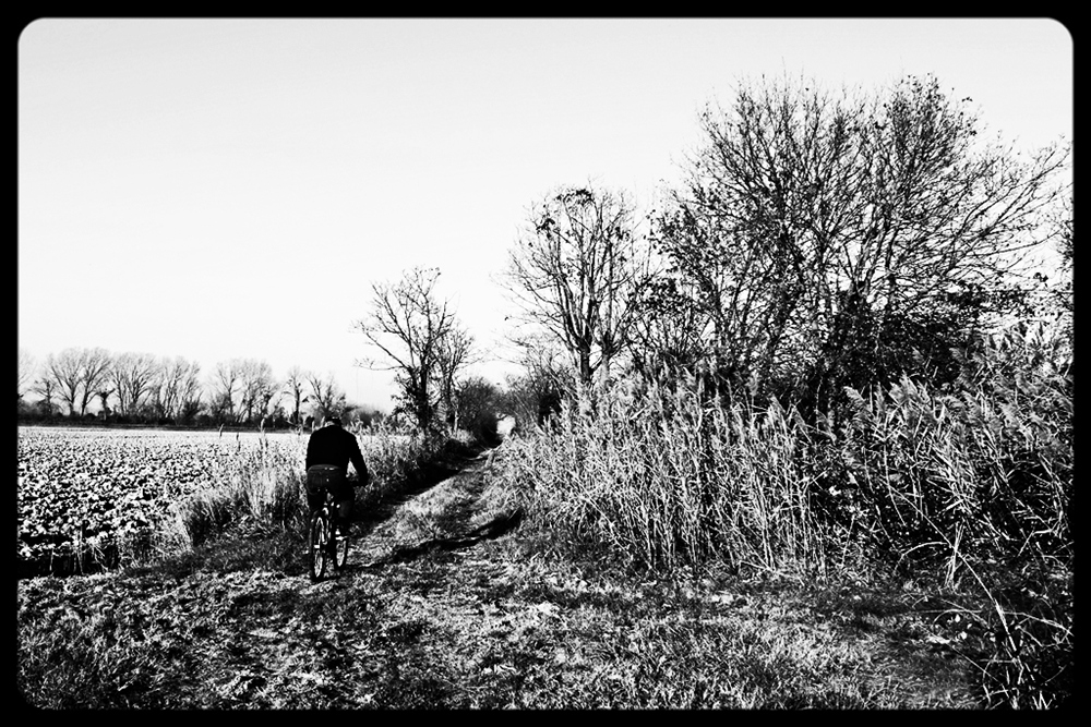 Zona foce dell'Isonzo