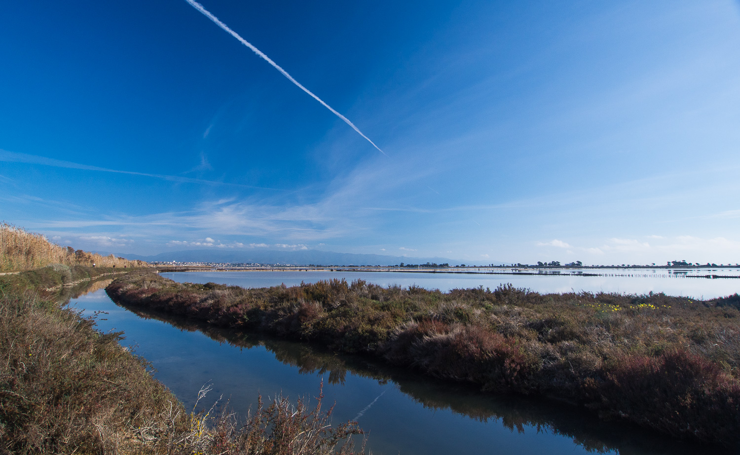 saline di Molentargius (CA)