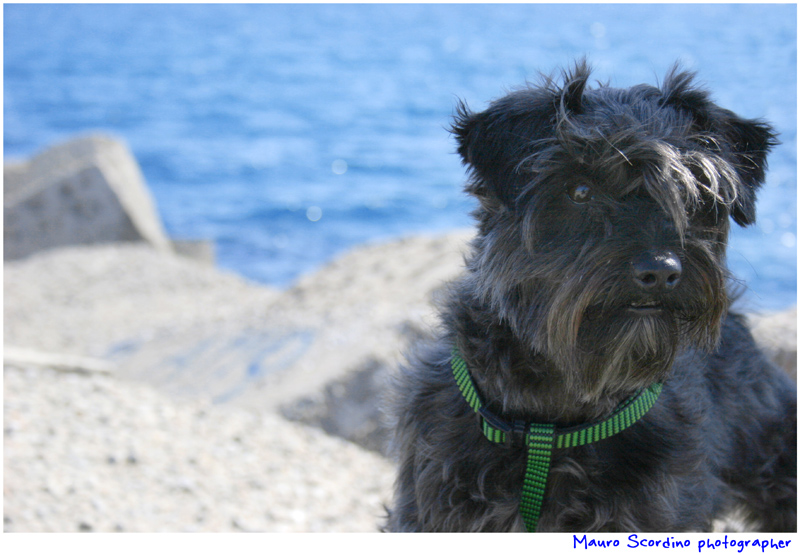 Spillo al mare (Crotone)!