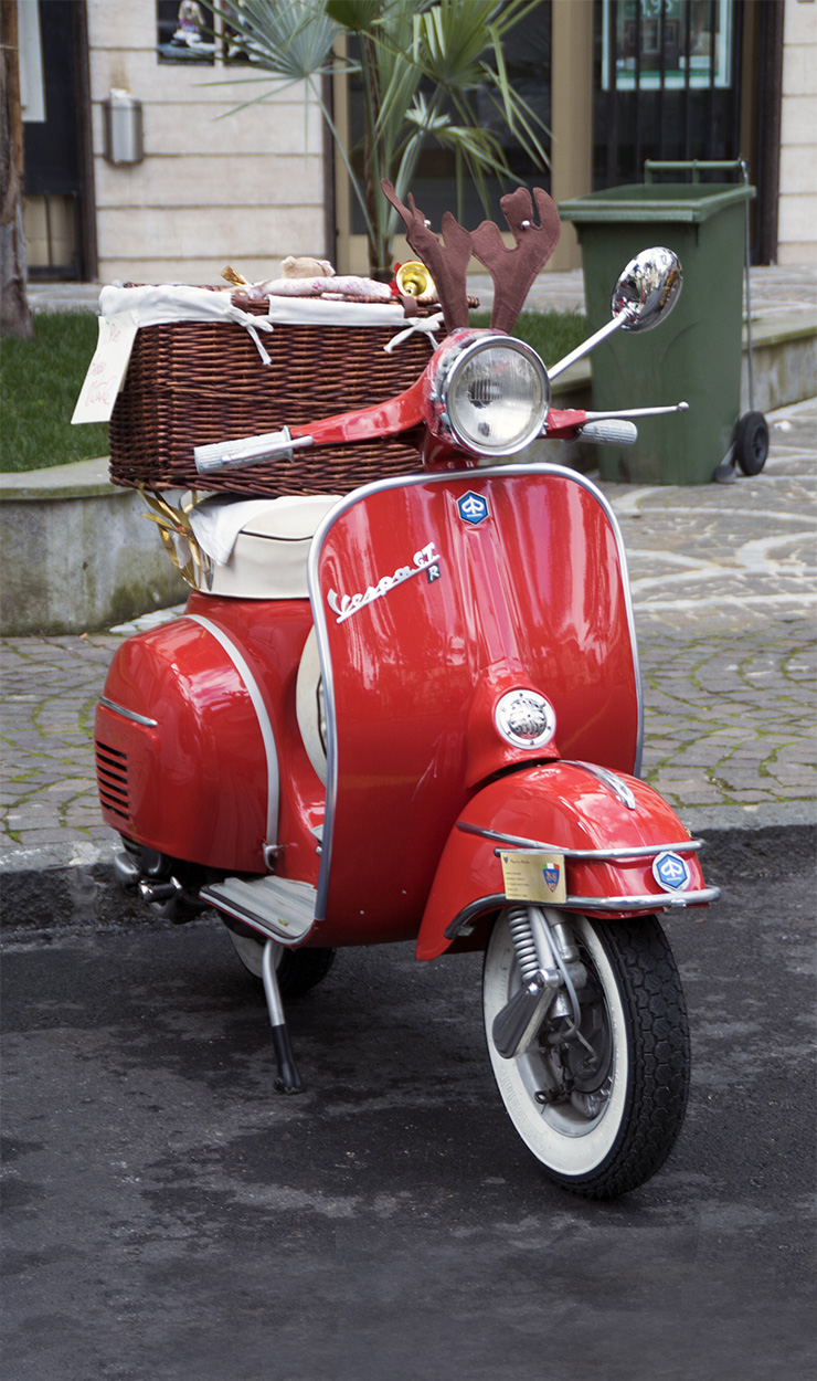 Vespa-renna