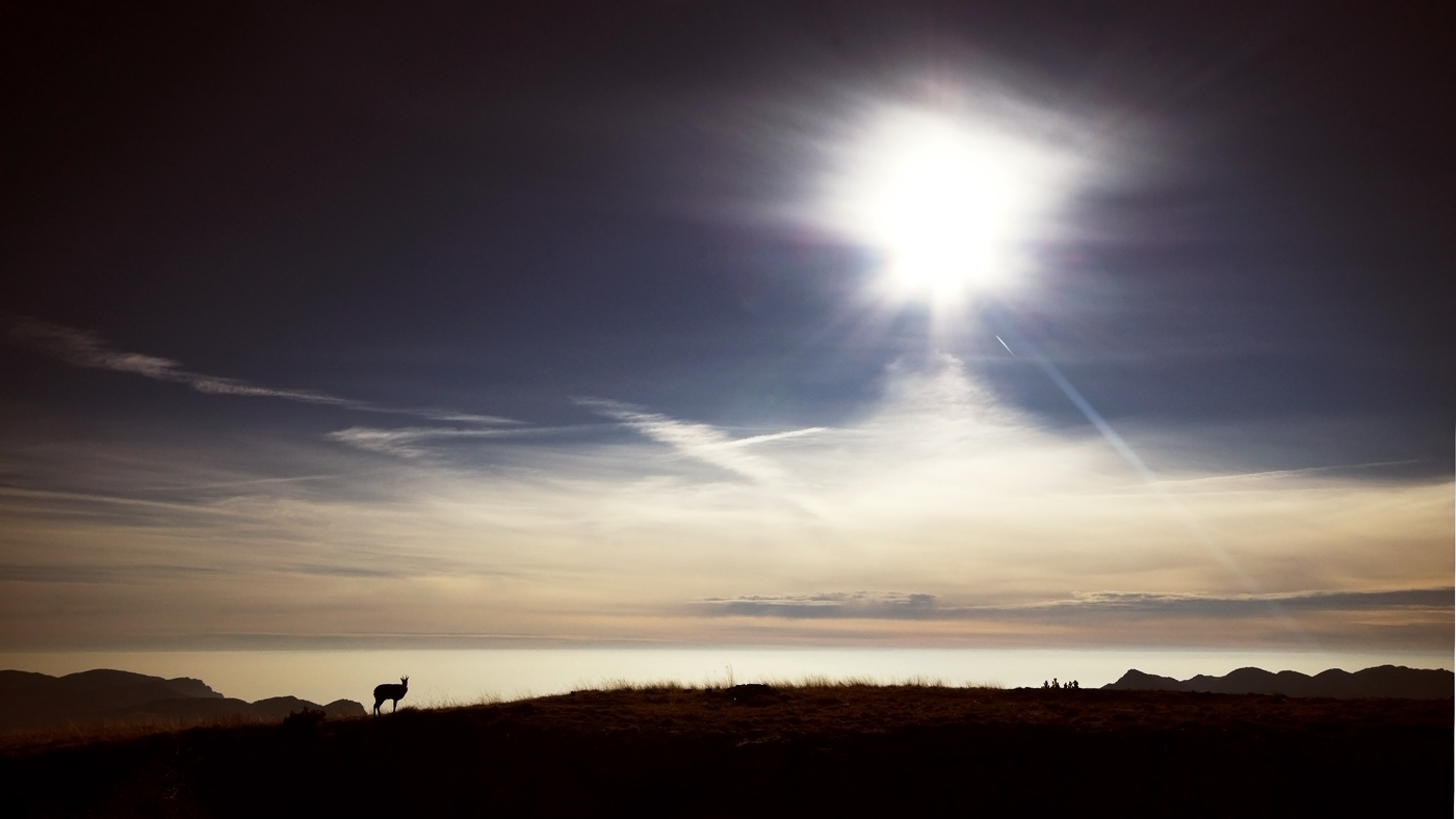 Controsole e camoscino