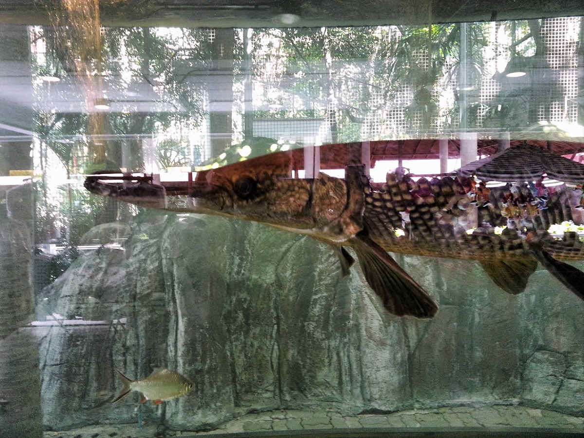 Riflessivo e trasparente