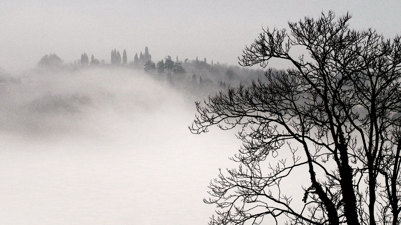 Rami e profilo collinare