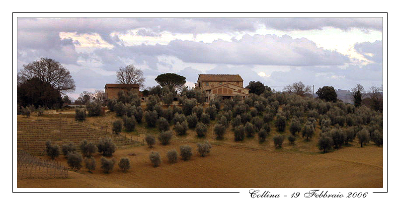 Collina Toscana