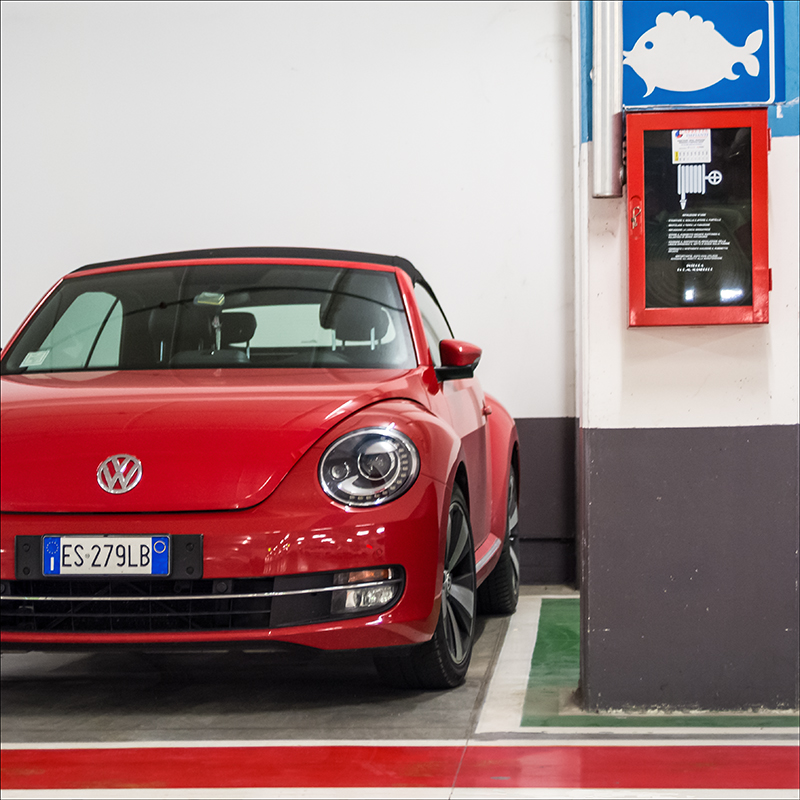 Pesce Rosso Rosso Rosso