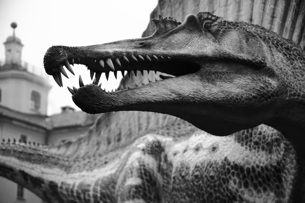 Spinosauro (Spinosaurus Stromer, 1915)