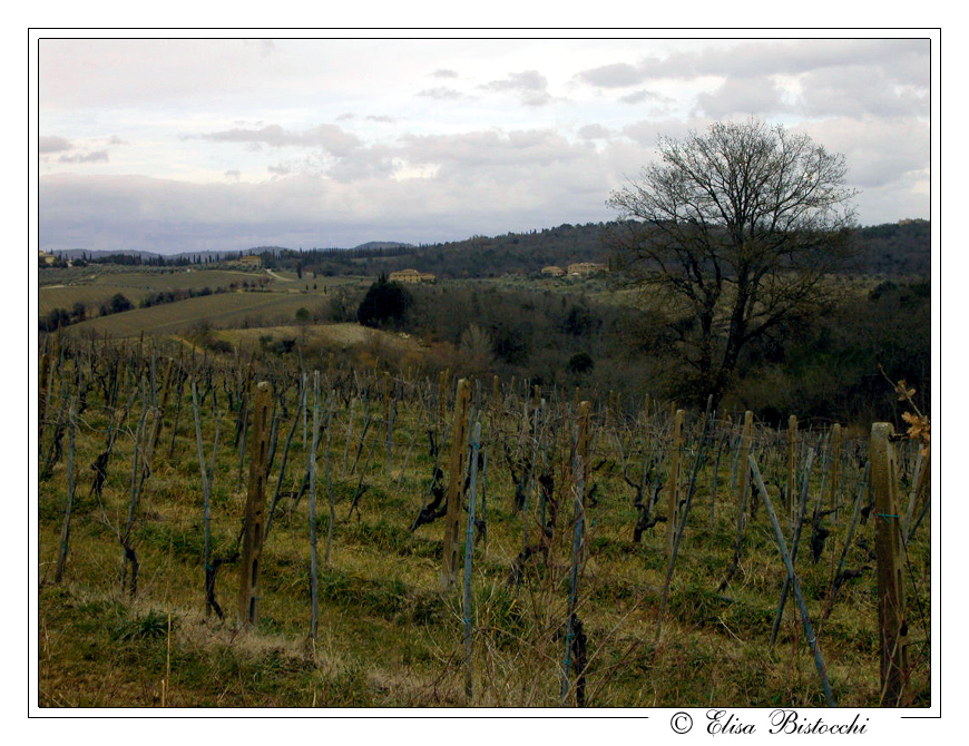 Paesaggio Toscano