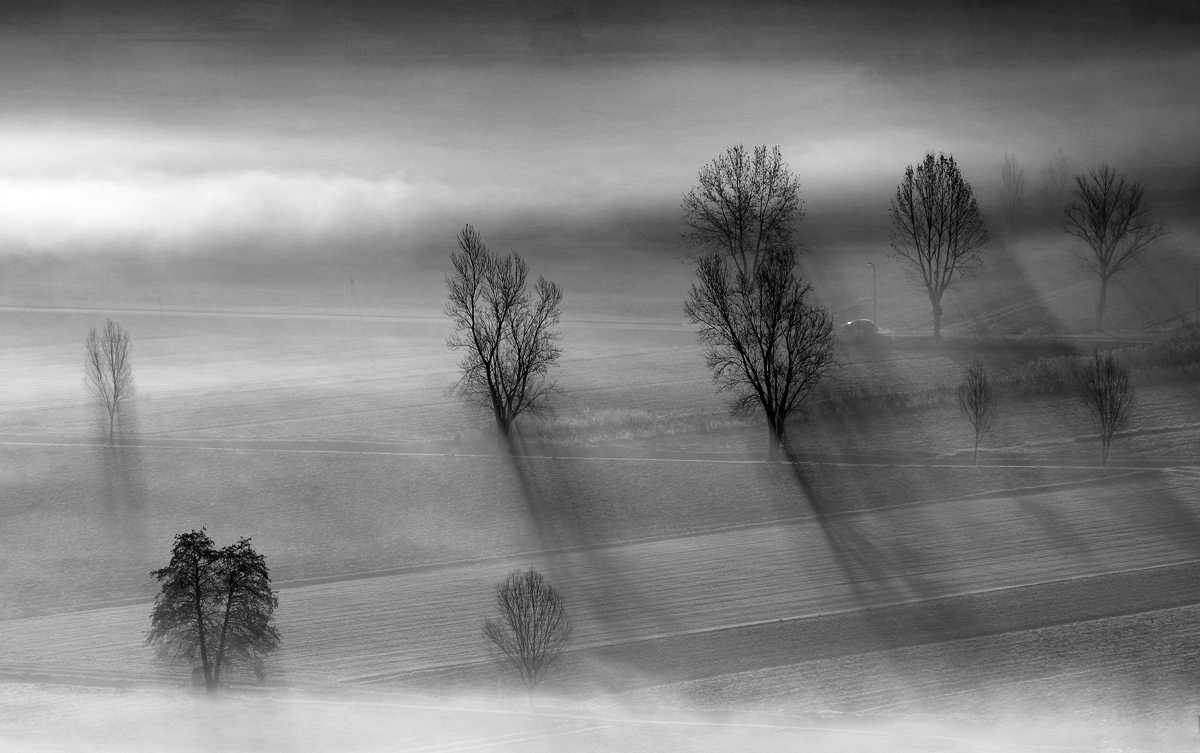 Nebbie, ombre, raggi