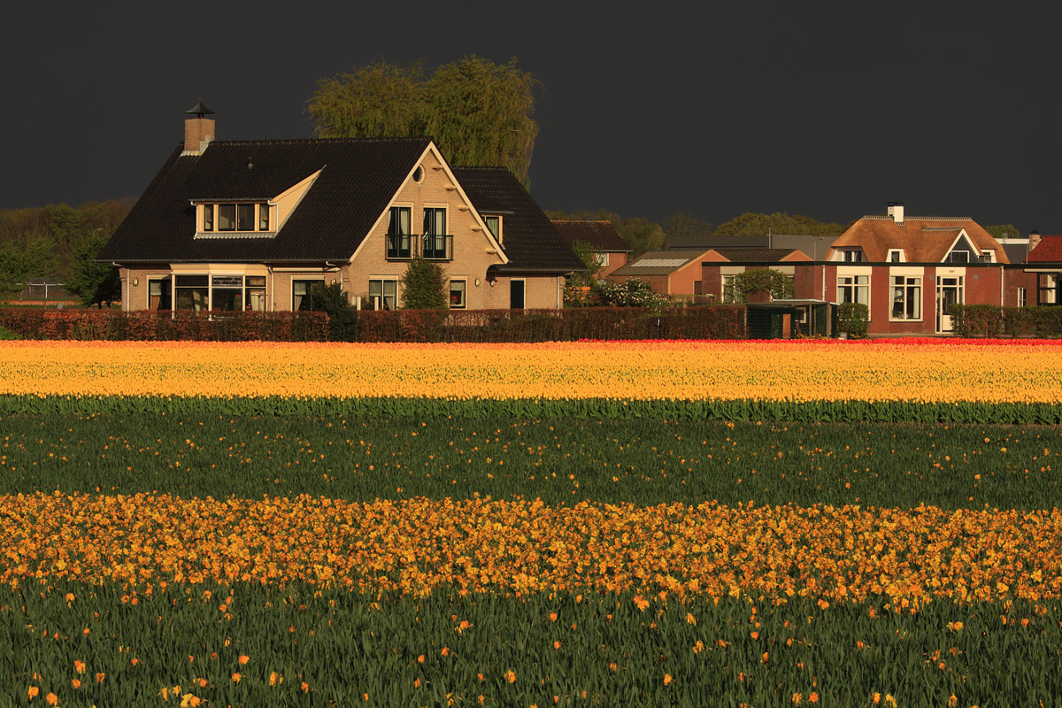 Alba minacciosa.......