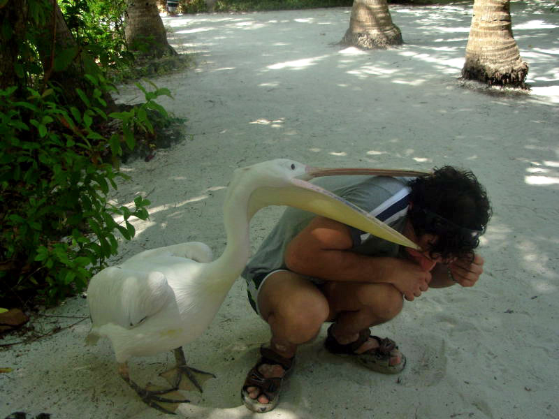 Lotta fino all'ultimo sangue