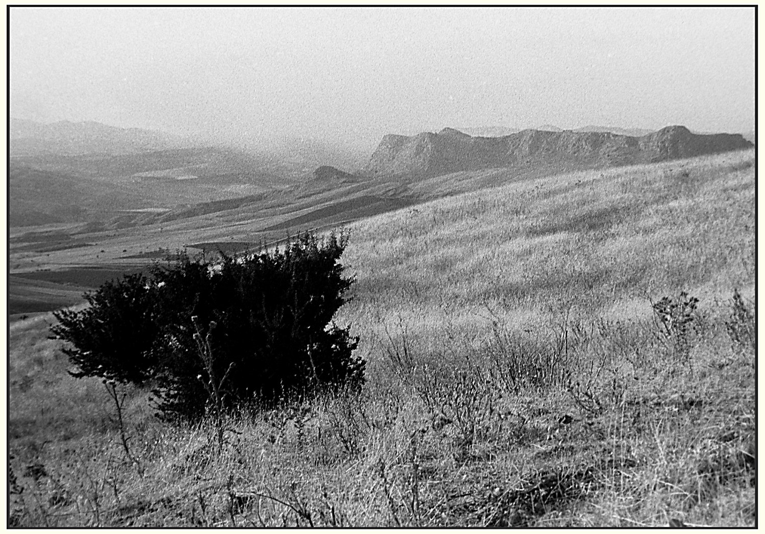 Impressione siciliana.