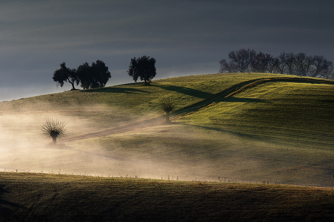 titolo titolo titolo