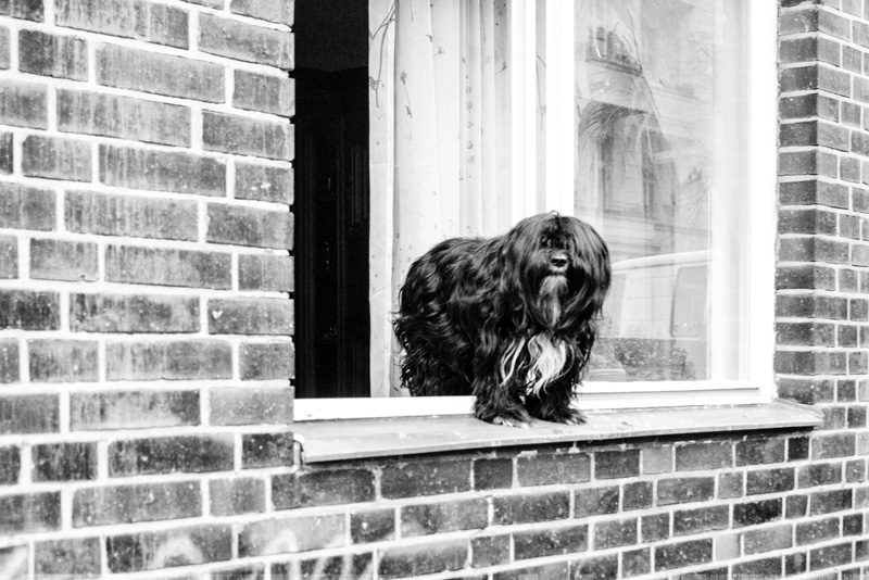 Okerstrasse 33 - from "Deutsches Album"